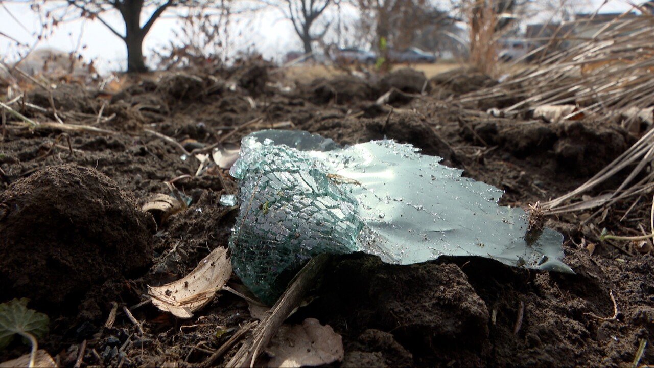 zenda chase crash 5.jpg