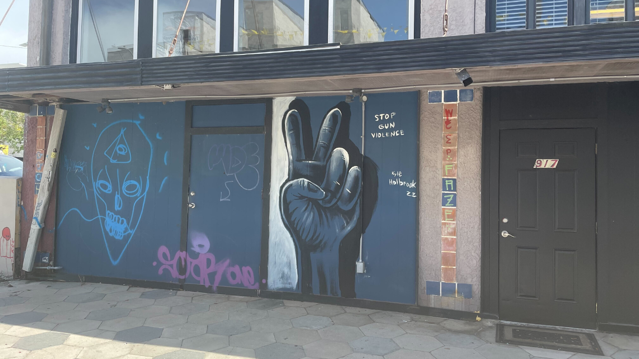 Muralist brings 'Gun Violence Awareness Tour' to St. Pete WFTS JADA.png