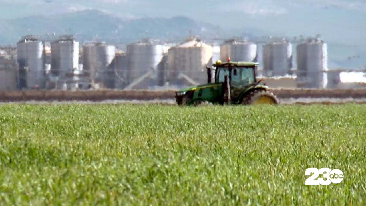 Tractor in a Farm Field, Bakersfield