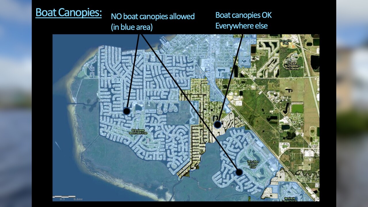 canopy1.jpg
