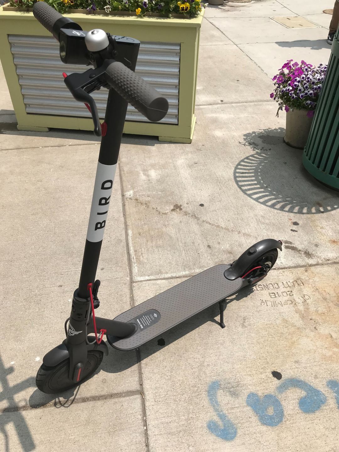 Scooters 2.jpg