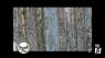 Southern Woods and Waters: Tips and Tricks for Shooting Your Hunting Video (P1)