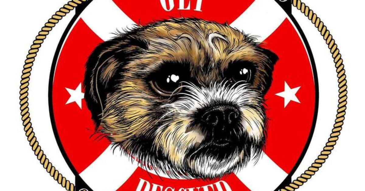 20th year for Gulfport's "Get Rescued" event - Vimarsana News
