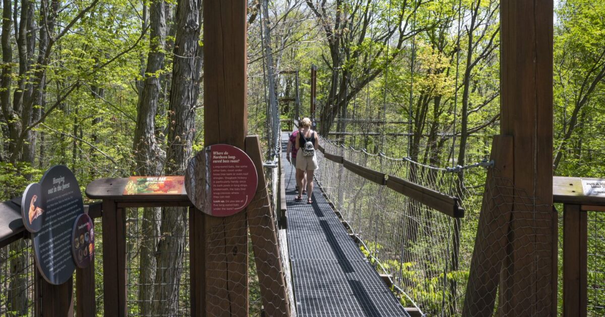 Holden Arboretum offering tram tours, summer events in Kirtland