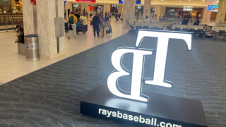 TPA RAYS BASEBALL
