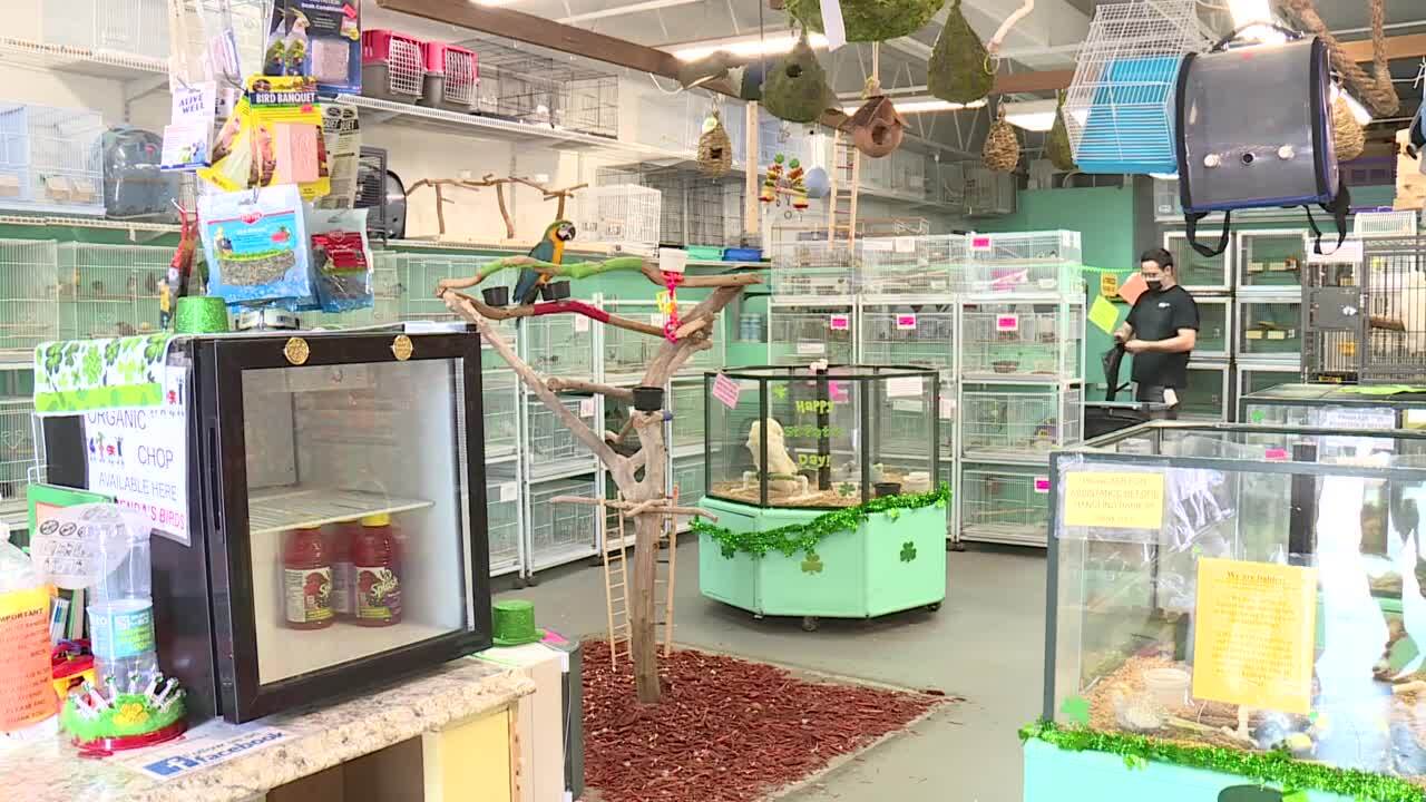 Interior of Brenda's Birds