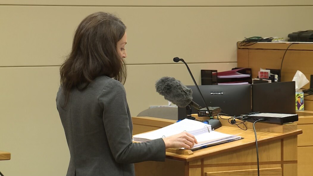 hausmann in court.jpeg