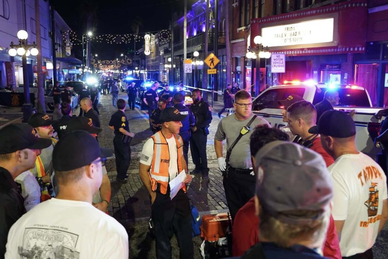 TFR PEDESTRIANS KILLED 2.jpg