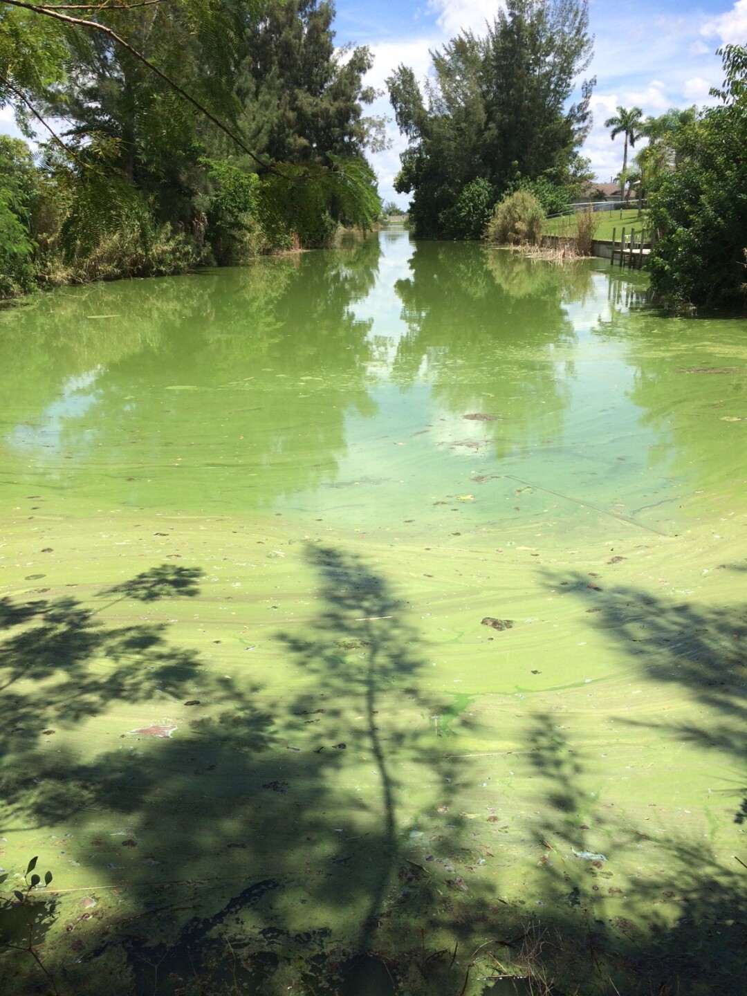 Makai Canal Cape Coral