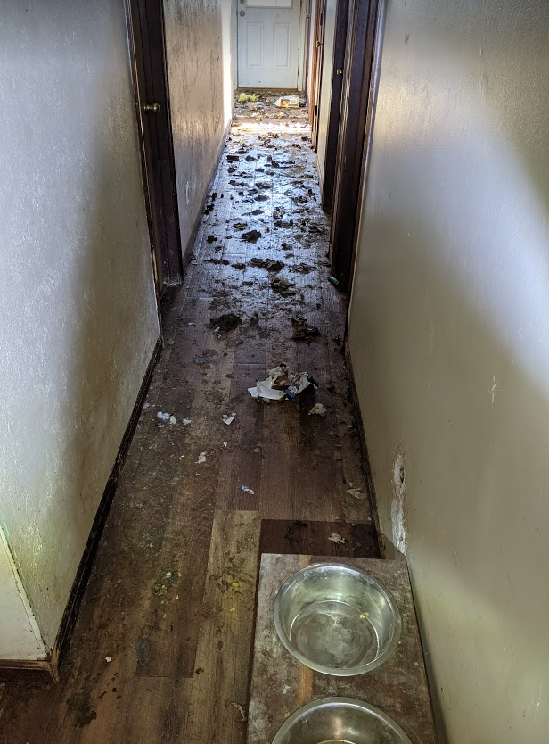 Animals in Boone County 5.png