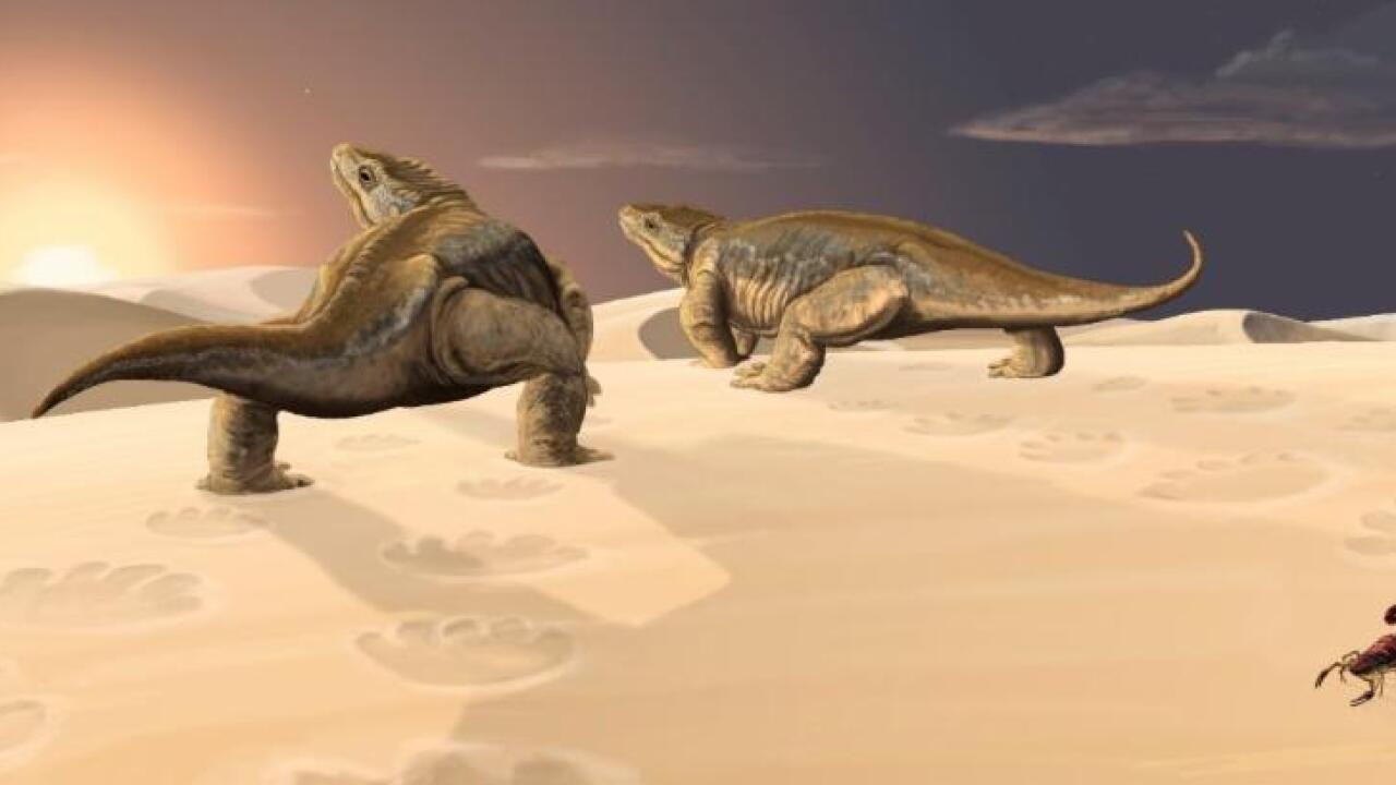 Scientists discover 280millionyearold fossil tracks in remote area