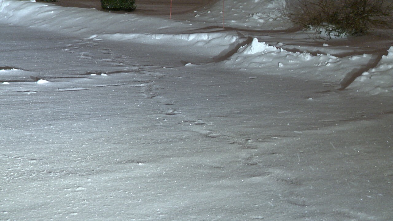 Snow footprints