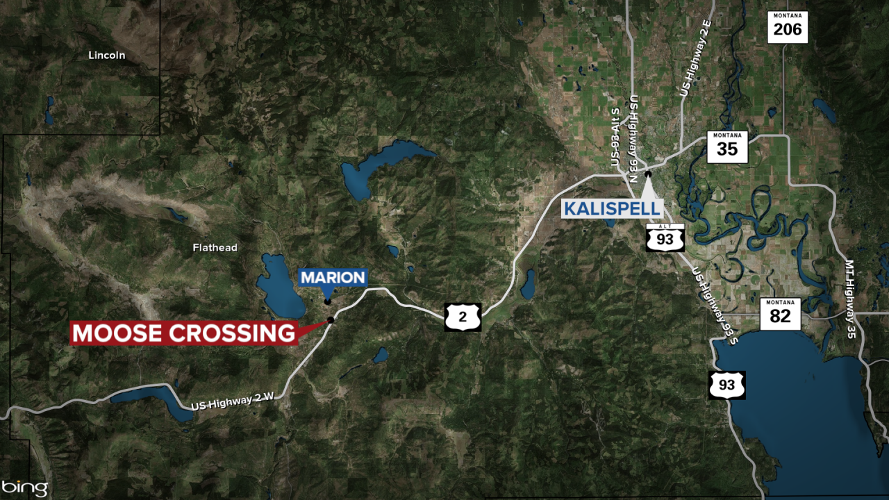 Marion Moose Crossing Homicide Map