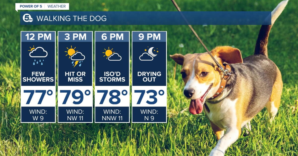 FORECAST: Drying out this weekend