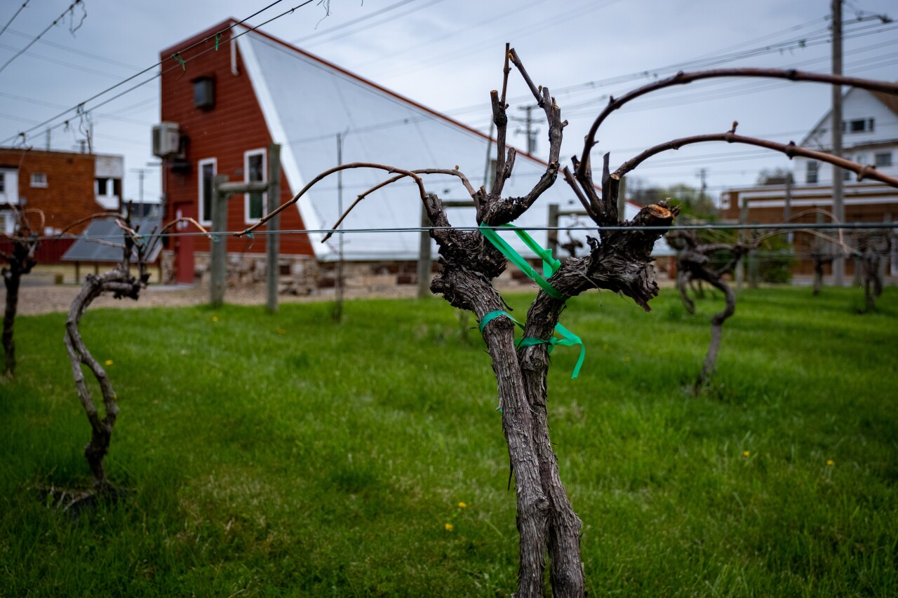 Hidden Gems - Chateau Hough 3.jpg