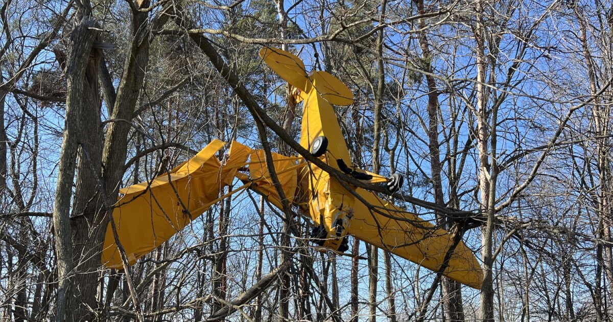 Pilot walks away from small plane crash uninjured in Green Oak Township - Vimarsana News