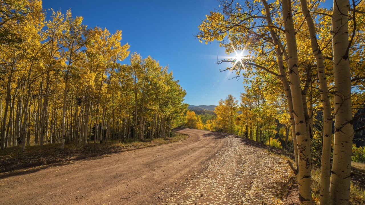 Gold Camp Road Bruce Hausknecht 1.jpg