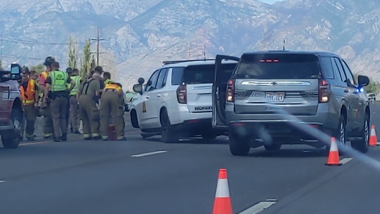 thumbnail_Wrong Way Driver 2.jpg