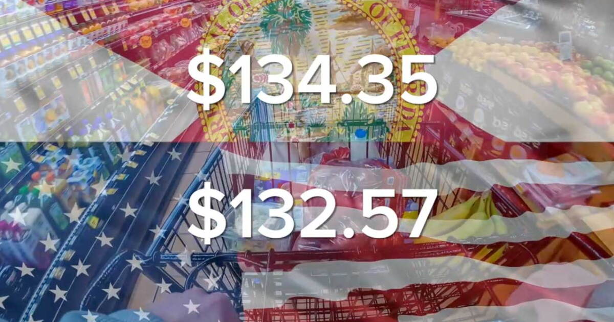 Florida ranks 8th most expensive in US for grocery essentials