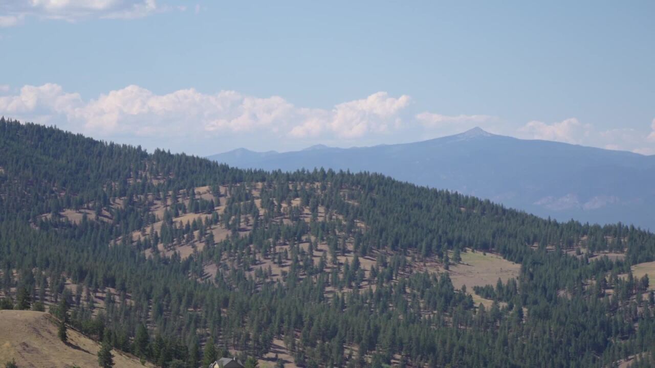 Blue Mountain Forest Plan