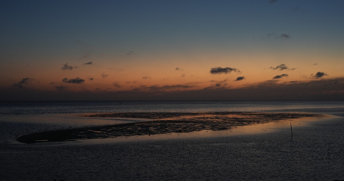 Florida reports 4 deaths from flesh-eating bacteria this year