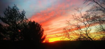 Winter sunrise