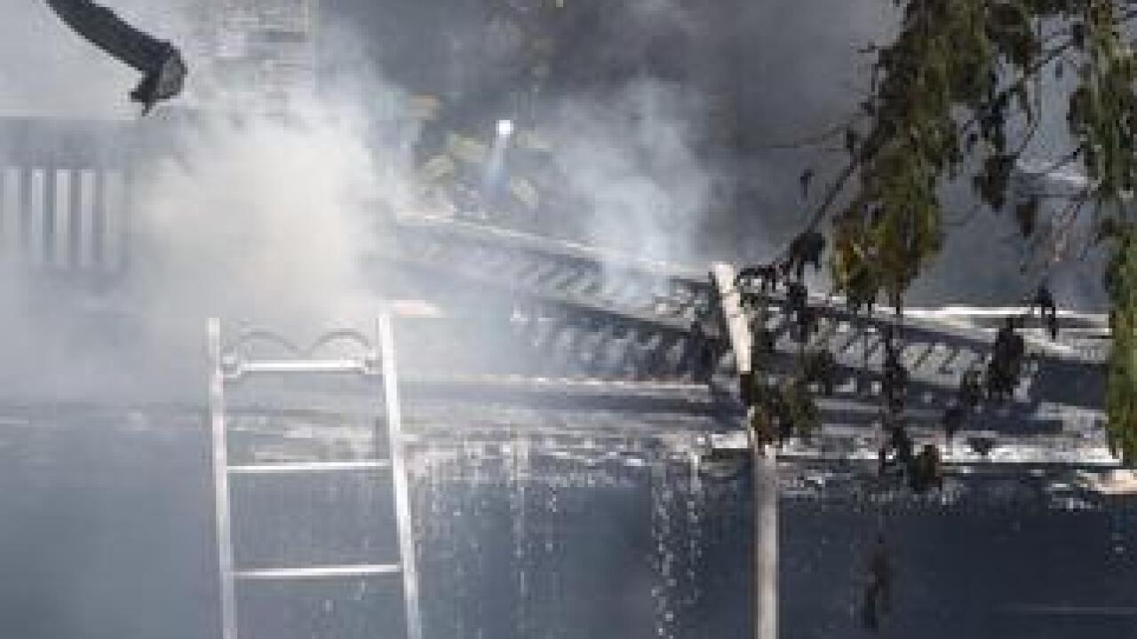 PHOTOS: IFD revives dog in north side house fire