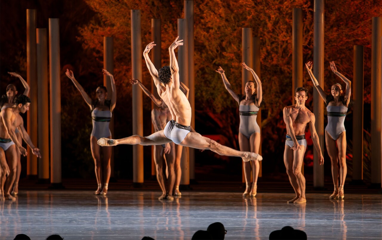 Ballet in Bloom.jpg