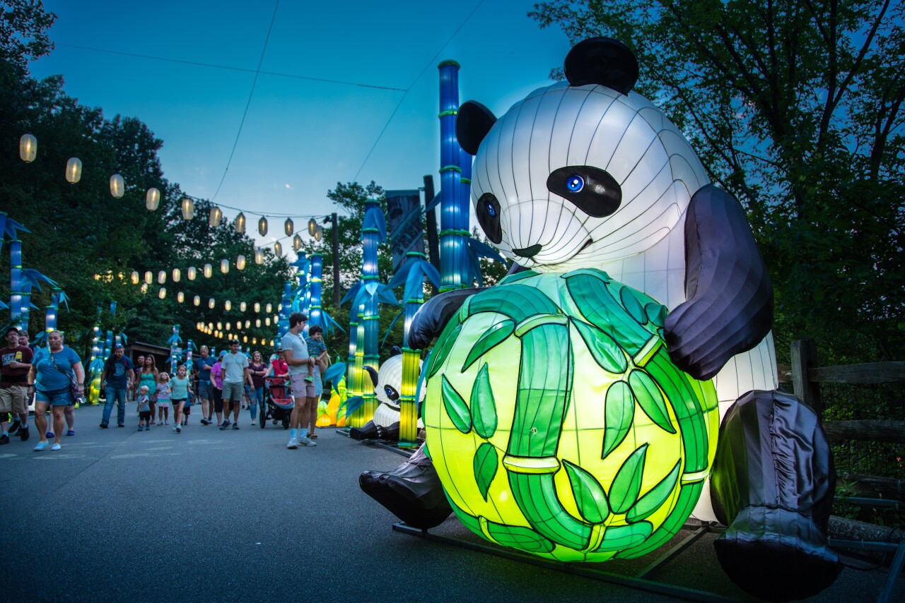 Views from 'Panda-land.'