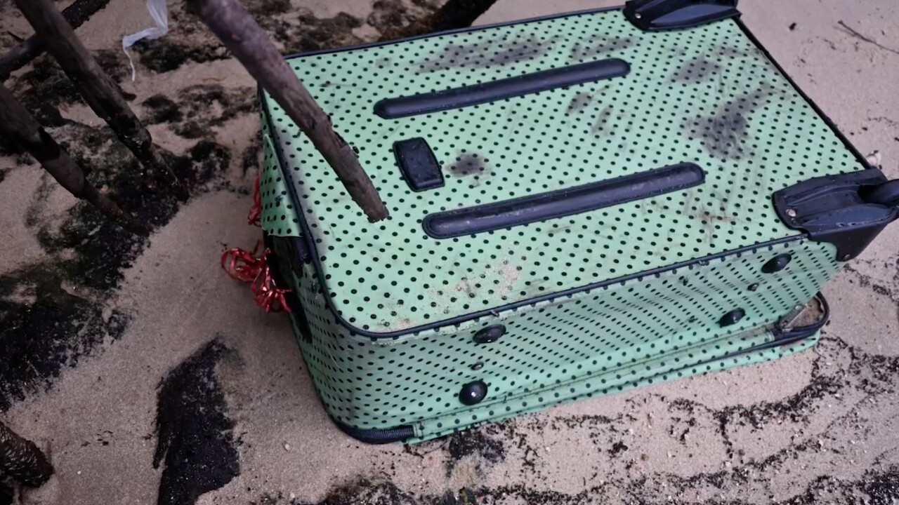 A green and black polka dot Charlie Sport bag was among the suitcases that the woman was found in. 