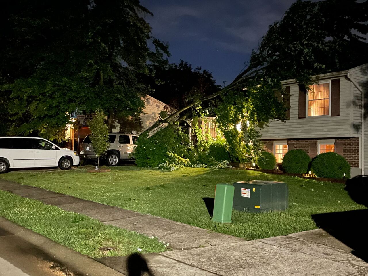 Erlanger tree on house