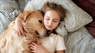 Cute,Little,Girl,Hugging,Dog,And,Sleeping,In,Bed