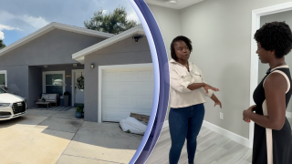 adu tampa.png