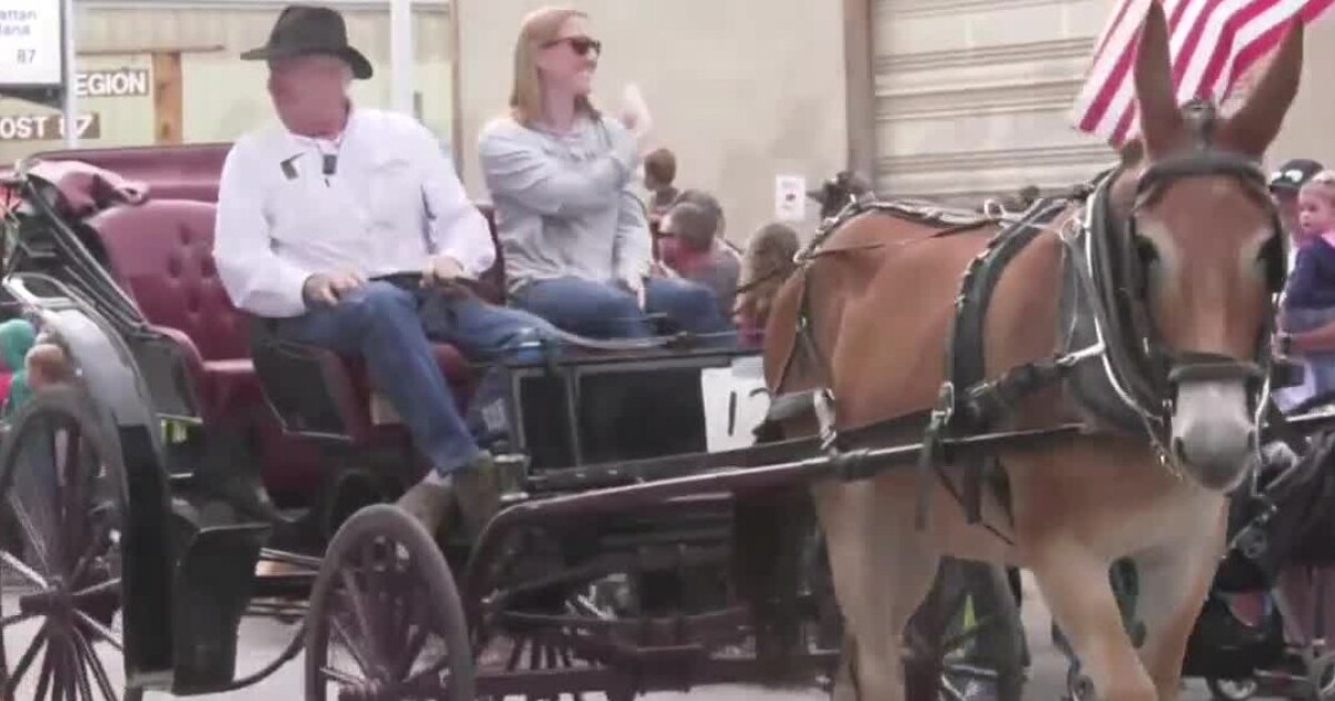 Community rallies together to make sure Manhattan Potato Festival takes