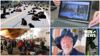 photo-collage.png (5).png