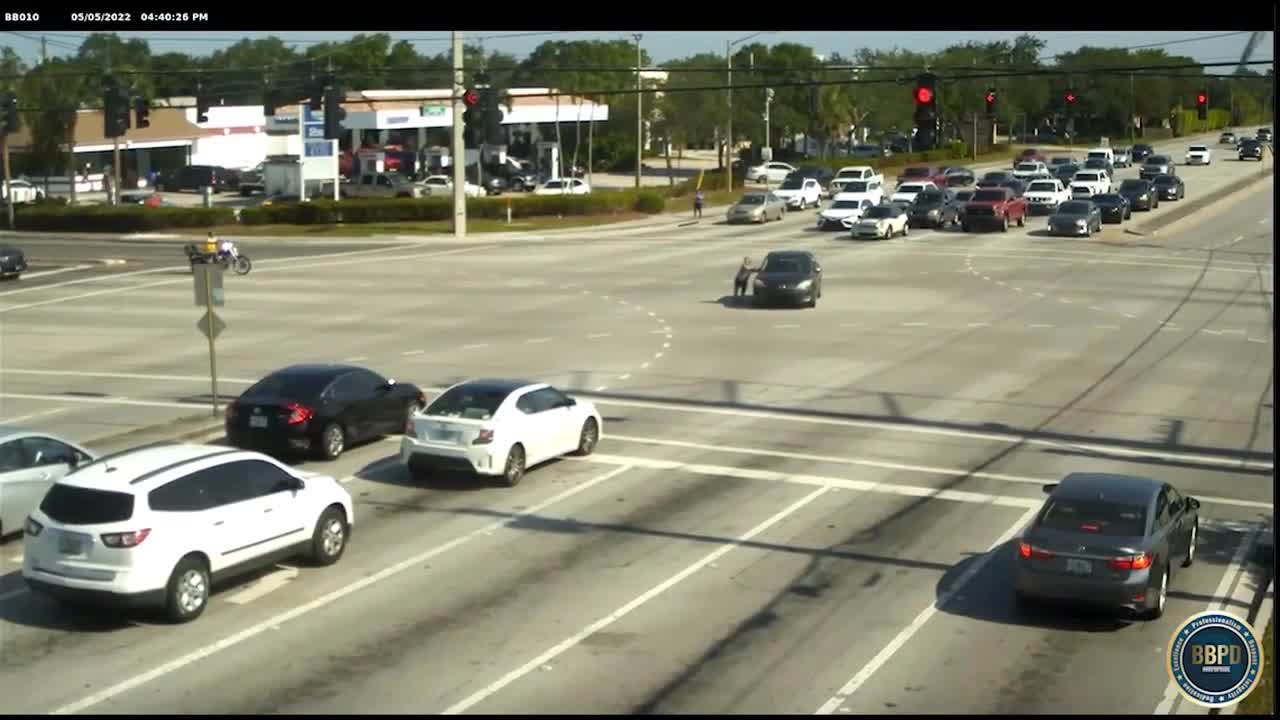 Boynton Beach rescue 2.png