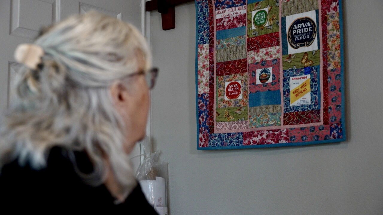 looking out on the quilt.jpg