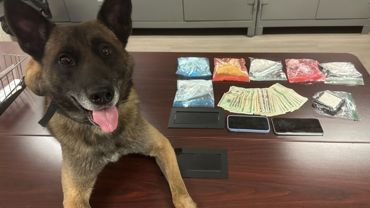 K9 & CDS.jpg