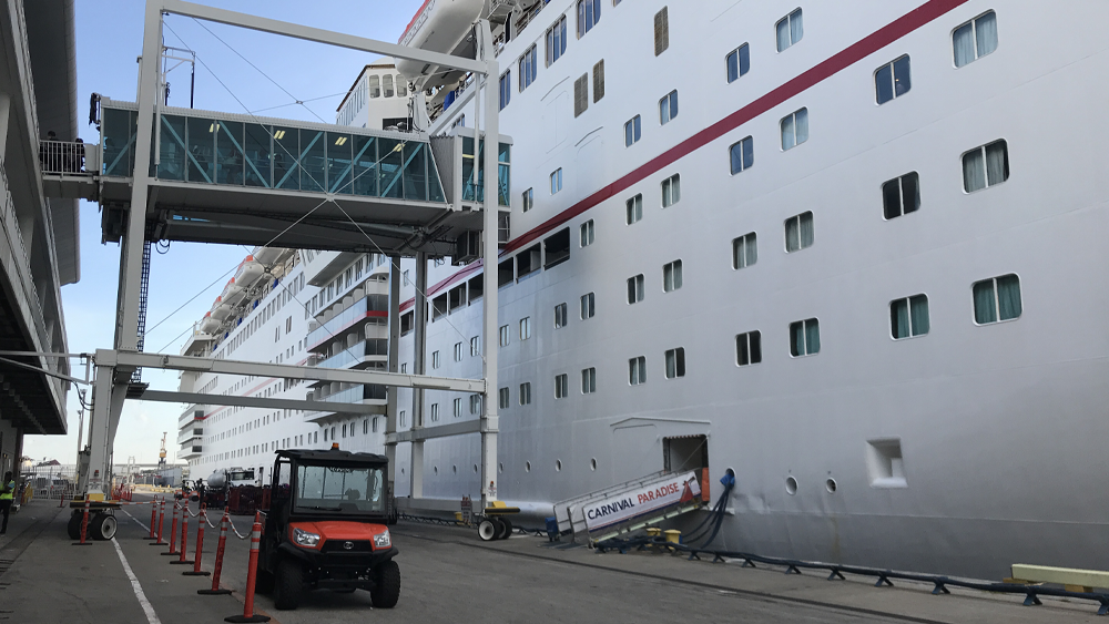 cruise-port.png