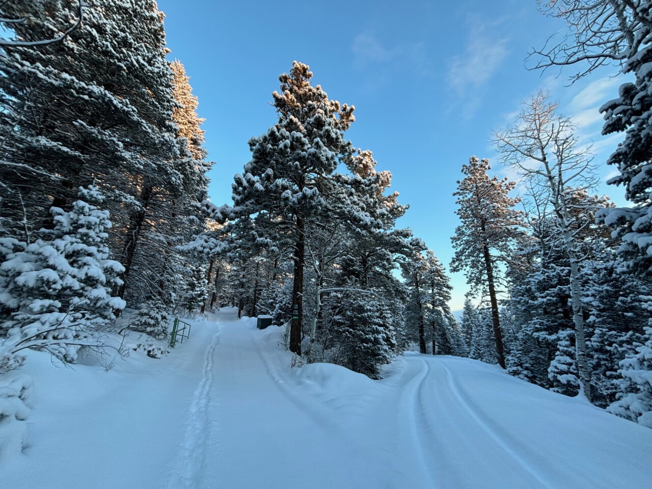 SteeleWatkins_RobbRanchWetmtns_SnowTracks.jpg