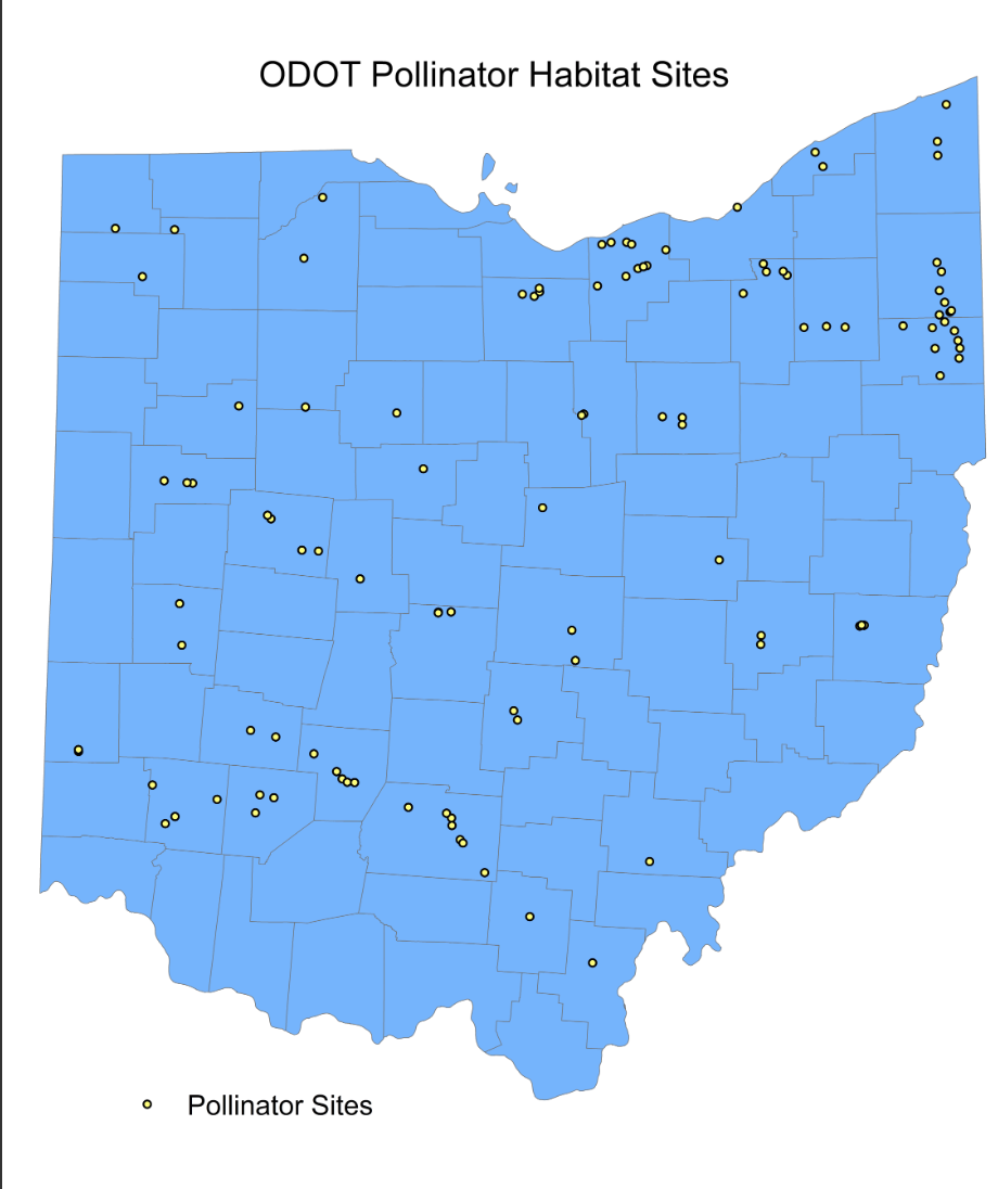 Screen Shot 2019-05-21 at 9.41.02 AM.png