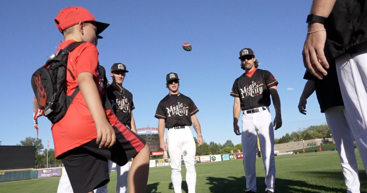 A Boy's Battle: Leukemia and the Ballpark Dream