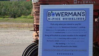 BOWERMANS.jpg