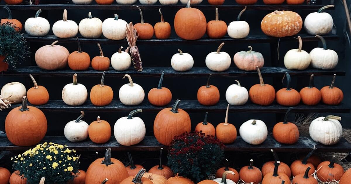 7 things to do in Western New York this weekend - WKBW-TV