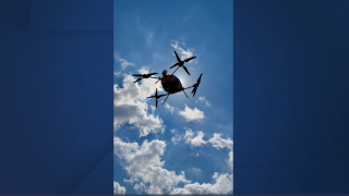 Manna drone.PNG