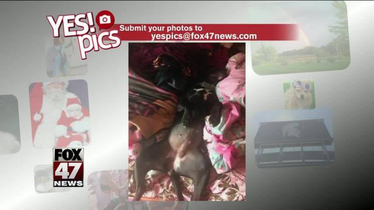 Yes! Pics: 4/30/18