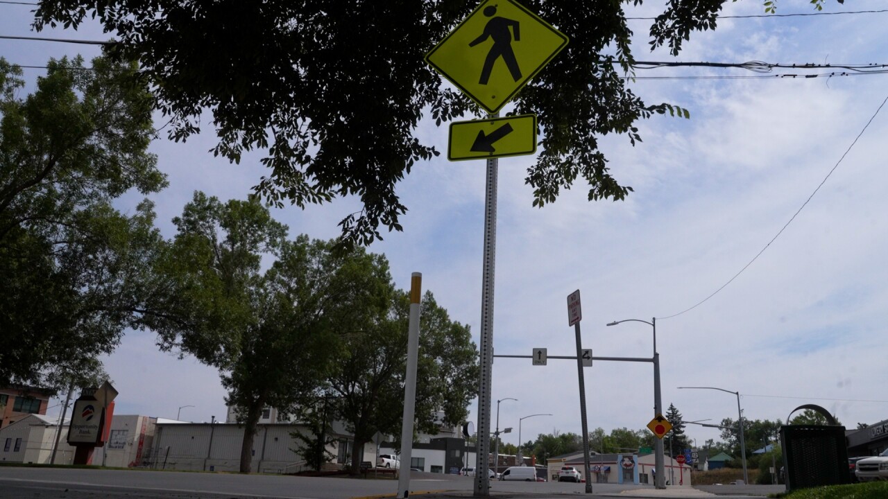 PEDESTRIAN.jpg