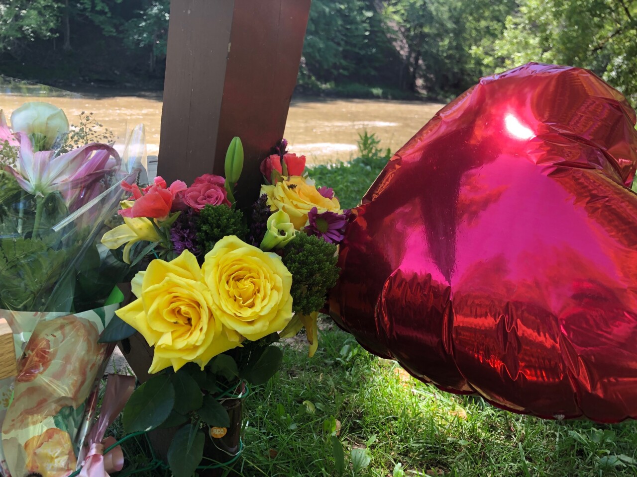 metroparks murders 2