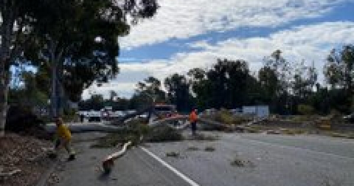Lanes reopen after tree falls across Hwy 101 in Santa Barbara