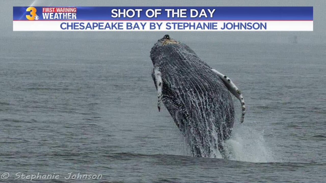 Hampton Roads through the lens